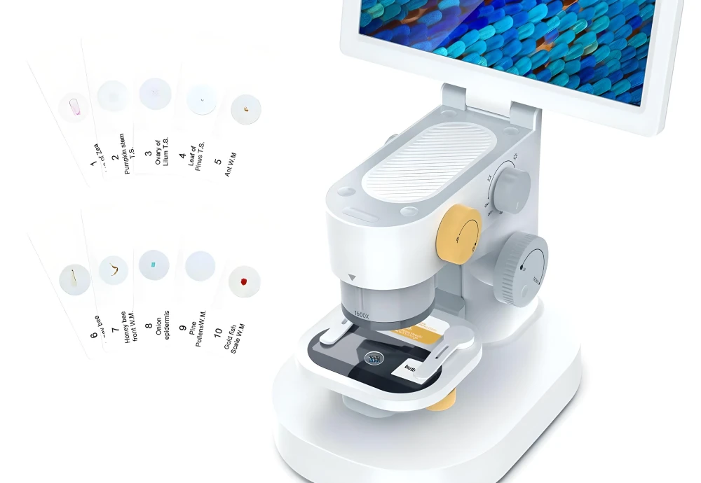 digital microscope 600x