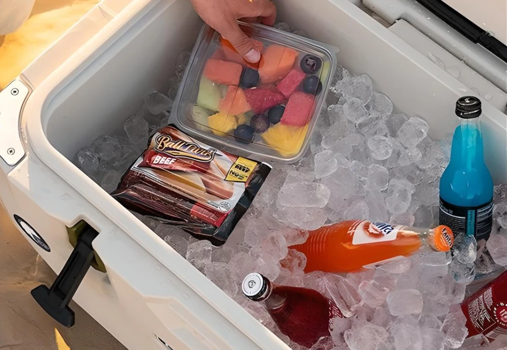 outdoor fridge cooler